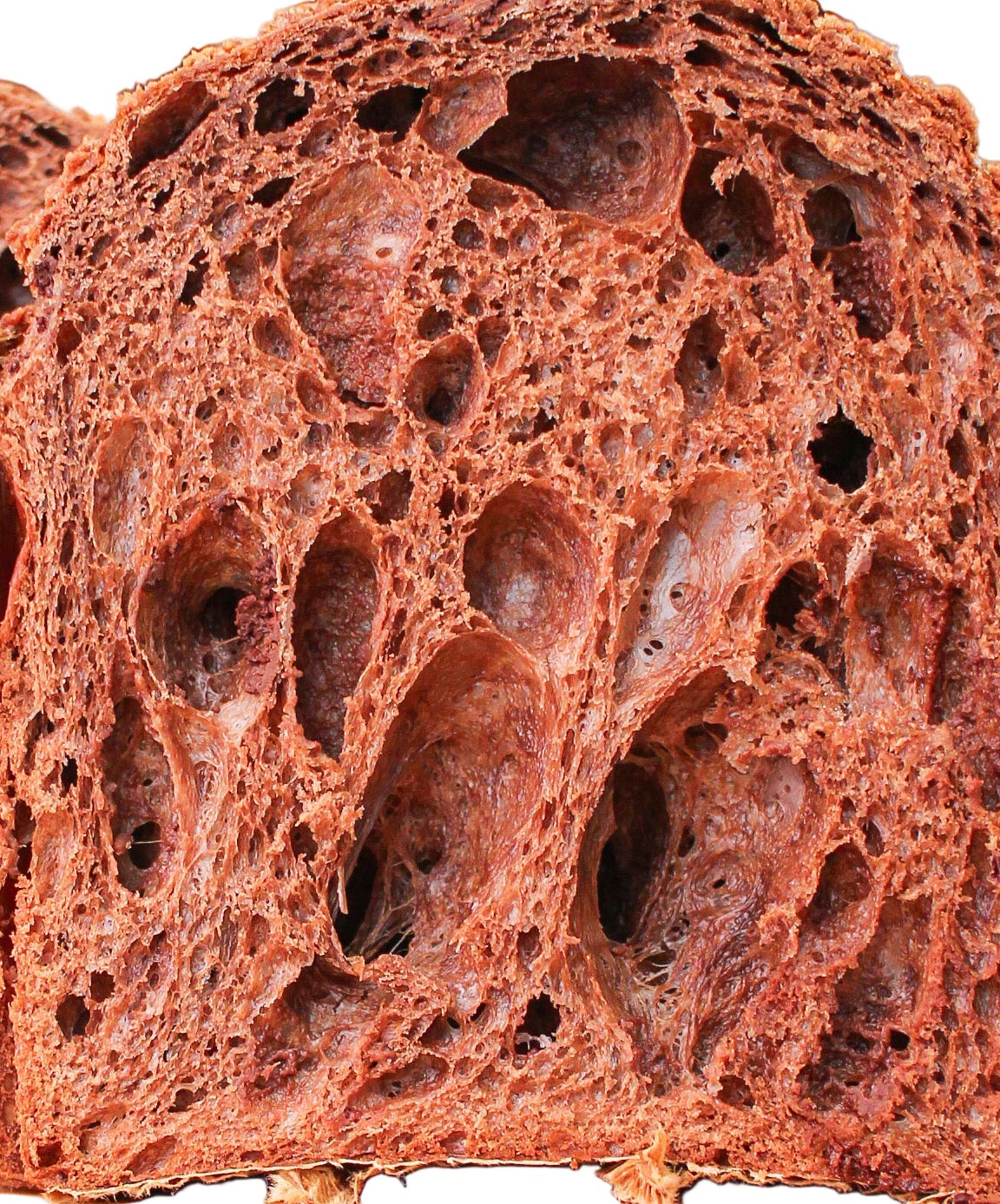 Panettone Chocottone